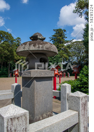 鷲宮神社 境内 久喜市鷲宮 鷲宮神社 境内 久喜市鷲宮 58285224