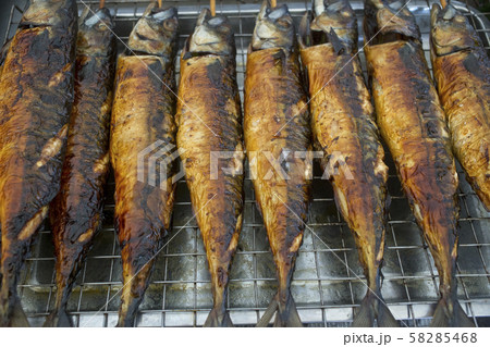 Grilled saba Fish, street food in thailand. Grilled saba Fish, street food in thailand. 58285468