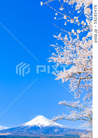 新倉山浅間公園の風景 (春):富士山 新倉山浅間公園の風景 (春):富士山 58285476