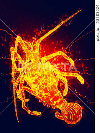 浮世絵　エビ　その4　サイバー 58285624