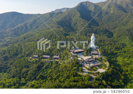 Tsz Shan Monastery, tai po at Hong Kong 58286050
