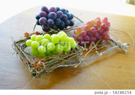 ブドウのテーブルフォト...シャインマスカット、コトピー、藤稔 ブドウのテーブルフォト...シャインマスカット、コトピー、藤稔 58286258