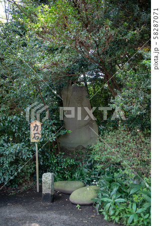 鷲宮神社 境内 力石 久喜市鷲宮 鷲宮神社 境内 力石 久喜市鷲宮 58287071