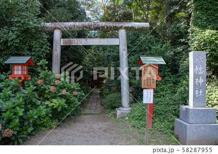 鷲宮神社　境内　八幡神社　久喜市鷲宮 58287955