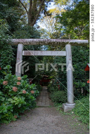 鷲宮神社　境内　八幡神社　久喜市鷲宮 58287980