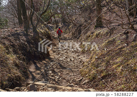 神奈川県伊勢原大山 国定公園大山口登山道の25丁目付近のハイカー 神奈川県伊勢原大山 国定公園大山口登山道の25丁目付近のハイカー 58288227