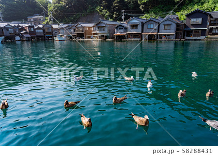 京都府 伊根の舟屋 海からの眺め 水鳥たち 京都府 伊根の舟屋 海からの眺め 水鳥たち 58288431