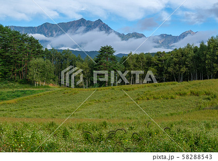 後立山連峰と高原 後立山連峰と高原 58288543