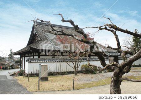 浜松市　初山宝林寺 58289066