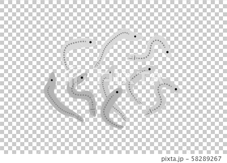 小魚 小魚 58289267