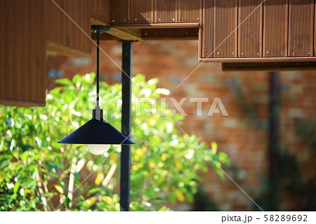 秋 木 造園 58289692