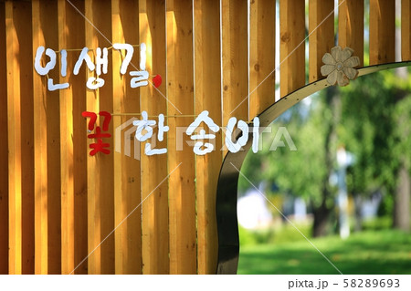 秋 木 造園 58289693