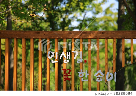 秋 木 造園 58289694