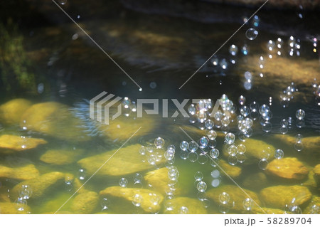 秋 木 造園 58289704