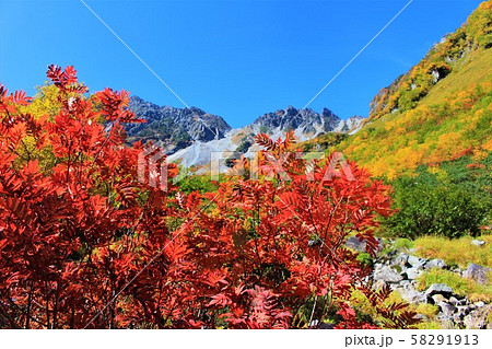 涸沢の紅葉 58291913