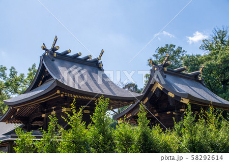 鷲宮神社　境内　久喜市鷲宮 58292614