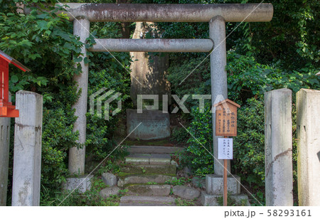 鷲宮神社 境内 諏訪神社 久喜市鷲宮 鷲宮神社 境内 諏訪神社 久喜市鷲宮 58293161