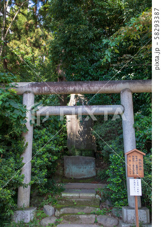 鷲宮神社 境内 諏訪神社 久喜市鷲宮 鷲宮神社 境内 諏訪神社 久喜市鷲宮 58293387