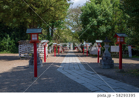 鷲宮神社 境内 久喜市鷲宮 鷲宮神社 境内 久喜市鷲宮 58293395