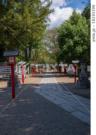 鷲宮神社 境内 参道 久喜市鷲宮 鷲宮神社 境内 参道 久喜市鷲宮 58293396