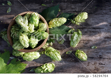 Hop twigs frame over wooden cracked table Hop twigs frame over wooden cracked table 58294764
