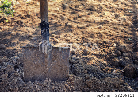 Old spade or shovel stuck in freshly dug earth Old spade or shovel stuck in freshly dug earth 58296211