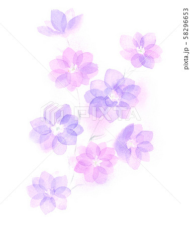 透明水彩で描く青紫の花のイラスト素材