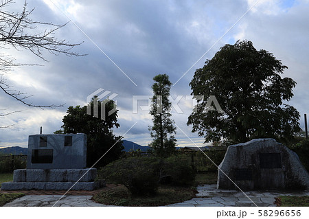 笠間芸術の森公園 笠間芸術の森公園 58296656