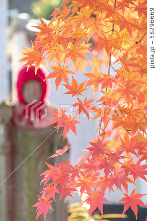 見沼田んぼ　紅葉に染まった円蔵院 58296669