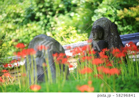 ヨンチョンサ コトムルト 花 58296841