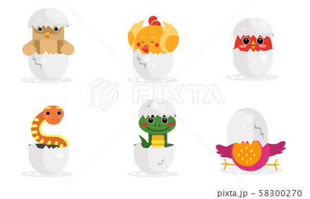 Cute New Born Animals In Eggs Vector Illustration Set Cute New Born Animals In Eggs Vector Illustration Set 58300270
