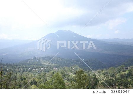 キンタマーニ 58301047