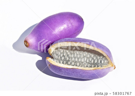 あけび（木通） 58301767