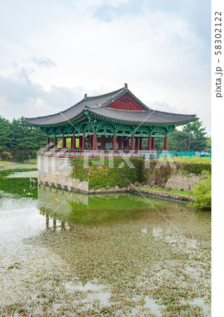 東宮 レース 雁鴨池 58302122