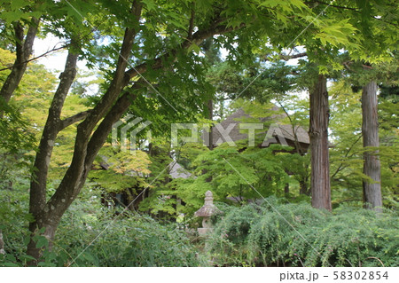 新緑と藁吹屋根 新緑と藁吹屋根 58302854