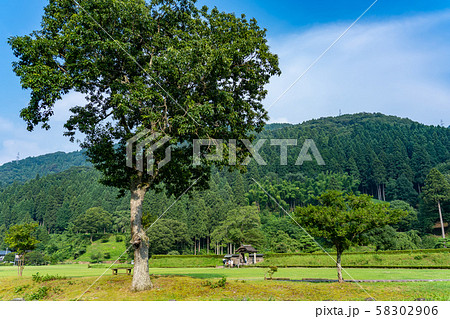 福井県　一乗谷朝倉氏遺跡　菩提寺の門　唐門 58302906