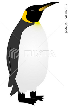 立っている皇帝ペンギンのイラストのイラスト素材