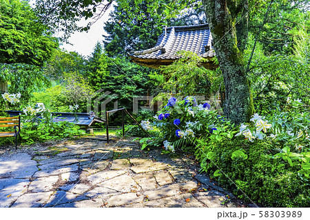 【山梨県】海岸寺鐘楼とヤマユリとアジサイの花 【山梨県】海岸寺鐘楼とヤマユリとアジサイの花 58303989