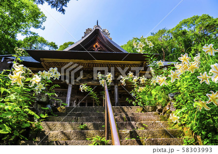 【山梨県】海岸寺観音堂とヤマユリの花 【山梨県】海岸寺観音堂とヤマユリの花 58303993