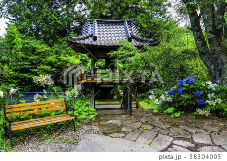 【山梨県】初夏の海岸寺境内 58304005