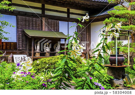 【山梨県】初夏の海岸寺境内 【山梨県】初夏の海岸寺境内 58304008