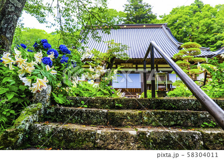 【山梨県】初夏の海岸寺本堂とヤマユリ・アジサイ 58304011