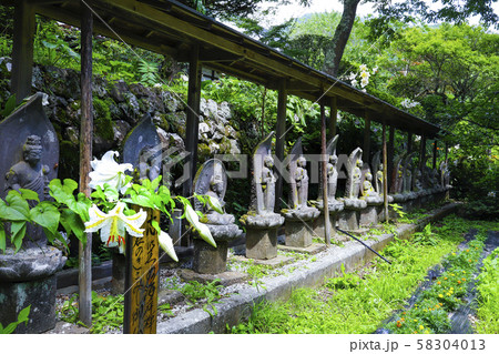 【山梨県】初夏の海岸寺境内　守屋貞治の百体観音とヤマユリの花 58304013