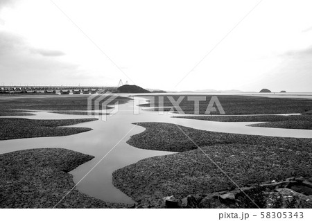 海 干潟 水路 58305343