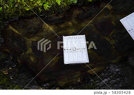 京都　貴船神社　水占みくじ 58305428