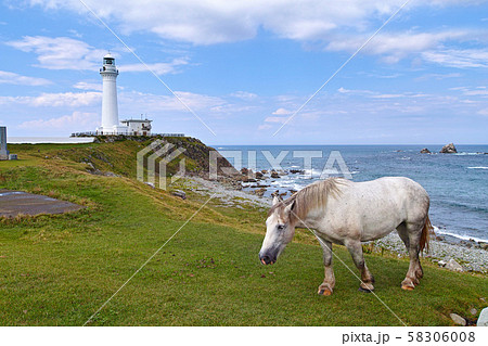 【青森県】尻屋崎/尻屋埼灯台と寒立馬 58306008