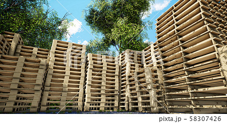 盆 トレー トレイ 58307426