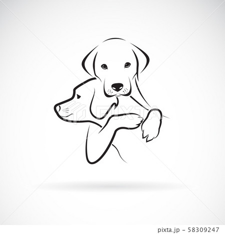 Vector Of Dogs Hug Each Other Animal Pet のイラスト素材