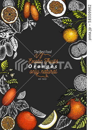 Citrus fruits design template. Hand drawn vector Citrus fruits design template. Hand drawn vector 58309962