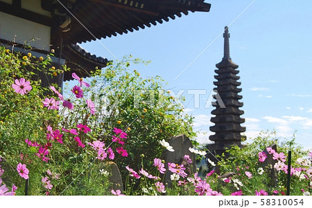 般若寺の本堂軒先からの風景 58310054